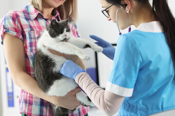 Female owner hold cat on hands and veterinarian woman examine domestic pet