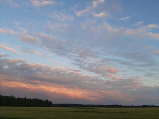 Fototapeta na wymiar Beautiful summer sunset. Sunset over the field. Beautiful sunset sky. Beautiful clouds in the sky.