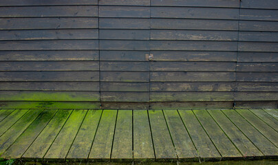 Rustic peasant background. Detail of a tool shed. Wall of dark wooden boards covered with green algae. A door with lock.