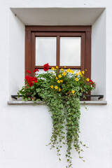 Fototapeta na wymiar Colorful flowers decorate a window in a mountain house 