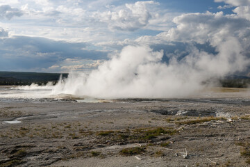 Yellowstone National Park.
Spooky portion of landscape in Yellowstone National Park featuring a desert area caused by acidic soil and erupting geysers.