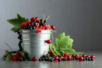 Cherries, red and black currants in a small metal bucket.