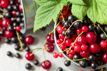 Cherries, red and black currants in a small metal bucket.