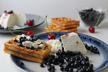 delicious healthy breakfast. Belgian soft waffles with curd cheese cream and blueberry cherries lie white blue plate view from the top. Delicious still life