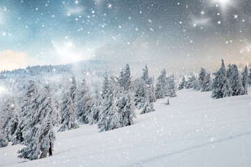 Fototapeta na wymiar amazing winter landscape with snowy fir trees