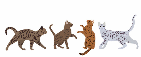 cats in flat style vector