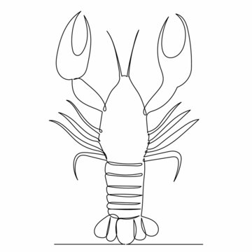 recommend clip art: lobster drawing one continuous line vector, isolated