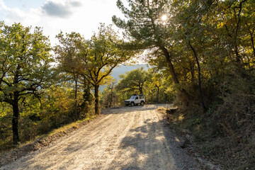 Strada sterrata nel bosco con fuoristrada