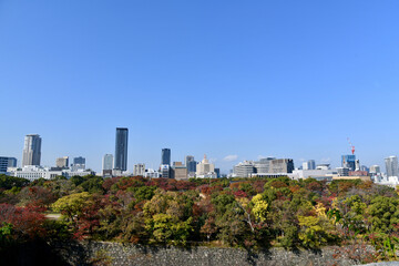Fototapeta na wymiar 紅葉の大阪城