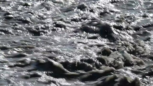 river of mud and water rushes towards the sea after intersting rains