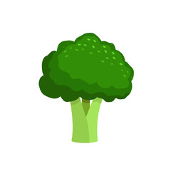 Fresh green broccoli. Vegetable isolated on a white background. Stock vector illustration. Design element for logo, label, sign, emblem, badge.