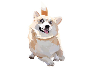 funny corgi dog shocking face cute reaction slipping drawing illustrator