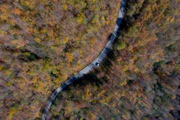wonderful colors of autumn a forest road