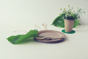 Environmentally friendly disposable tableware made from natural materials, a bouquet of field...