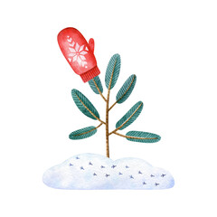 Watercolor Christmas composition with small pine, snow and red mitten. Hand drawn clipart for greeting cards and invitations.