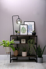 Stylish room interior with beautiful potted plants and console table