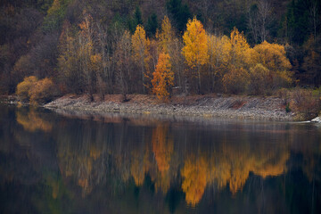 Landscape with autumn on the lake