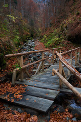Hiking trail in the mountains, autumn time