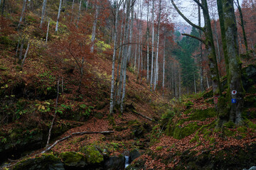 Hiking trail in the mountains, autumn time