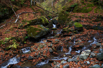 Autumn landscape with river rapids