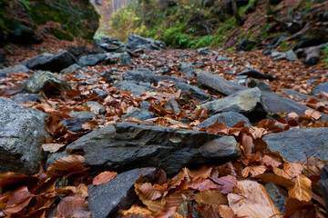 Hiking trail in the mountains, autumn time