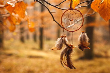 Dreamcatcher hanging on branch in autumn forest. Spirituality amulet and good dreaming symbol - obrazy, fototapety, plakaty