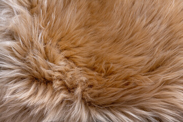 Trendy brown artificial fur texture. Fur pattern top view. Brown fur background. Texture of beige...