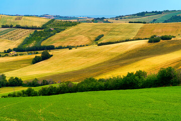 Rural landscape along the road from Fano to Mondavio, Marche