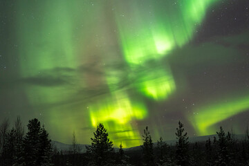 Polarlichter (Aurora Borealis), Raattama, Muonio, Lappland, Finnland