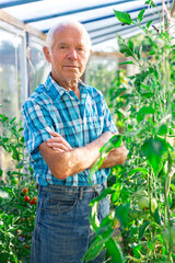 Farmer caring for tomato sprouts in greenhouse