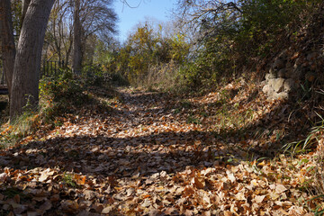 Autumn in country of Spain, river, colors, trees