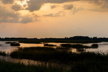lake with plants during sunset, reflection in the lake