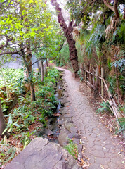 beautiful nature scenery in Japan