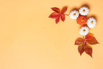 Orange, white, orange pumpkin and maple leaves isolated on beige background Top view Flat lay Hello autumn, happy thanksgiving concept Holiday card