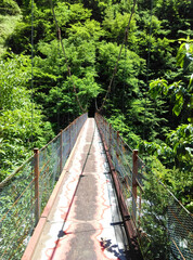 beautiful nature scenery in Japan