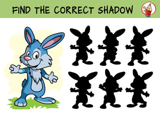 Funny little rabbit. Find the correct shadow