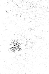 Firework texture, thin lines, transparent background. Backdrop to use for overlay, montage or brushes. Easy to recolor. Abstract vector illustration, eps 10. Happy new year concept.