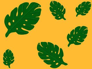 Dark green monstera leaves on yellow background.