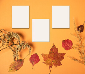 Three sheets for notes on an autumn orange background with autumn leaves. Background for copy space