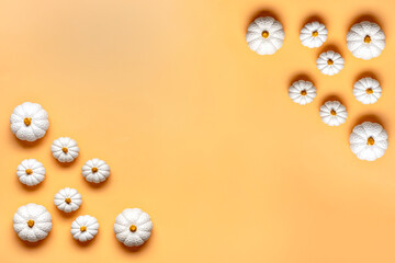 Orange, white pumpkin and maple leaves isolated on beige background Top view Flat lay Hello autumn, happy thanksgiving concept Holiday card