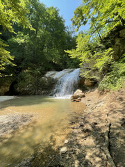 waterfall in the forest