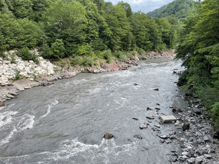 stream in the mountains