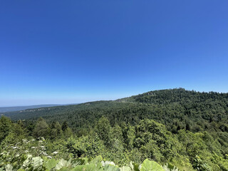 Lagonaki plateau