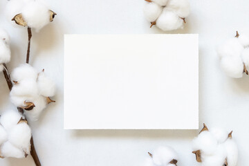 Blank card on white table with cotton flowers top view - obrazy, fototapety, plakaty