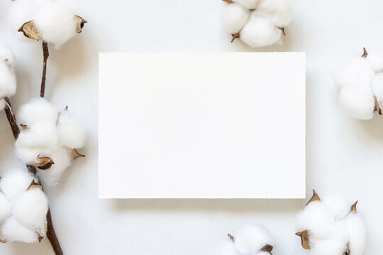 Blank card on white table with cotton flowers top view