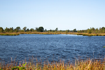 Mere on heath of Dwingelderveld National Park; Drenthe, Netherlands
