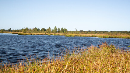 Mere on heath of Dwingelderveld National Park; Drenthe, Netherlands
