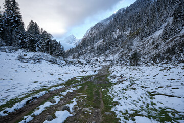 Esplanade in the forest of the Pyrenees