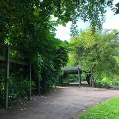 bench in the park