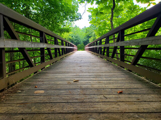 Fototapeta premium Wooden boardwalk in the forest over pools of water